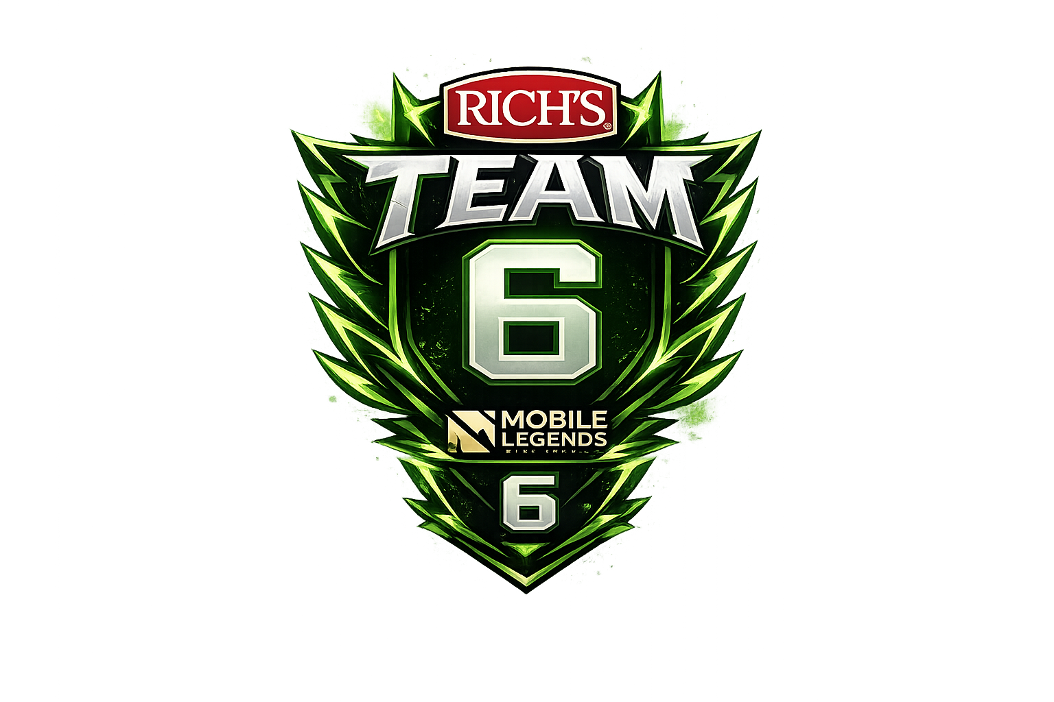 Logo Team 6
